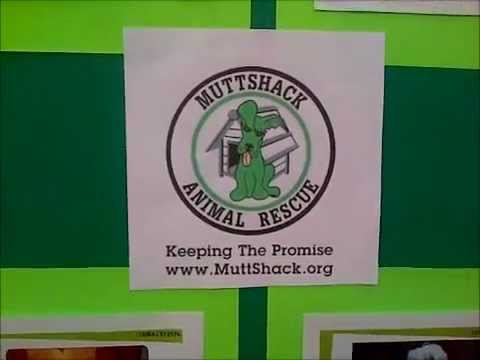 adopt a pet petco burbank ca on sundays community events youtube