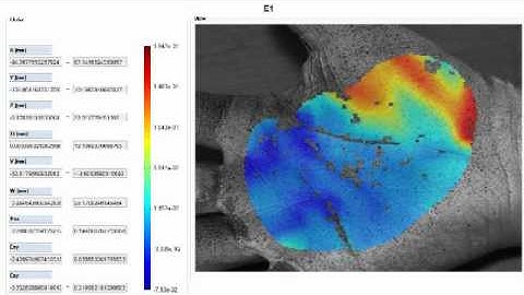 Digital Image Correlation - Hand Maximum Principal Strain