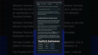 microsoft/terminal