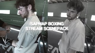 sapnap boxing stream scenepack 6/16/25