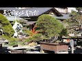 [4K]春花園盆栽美術館 2021