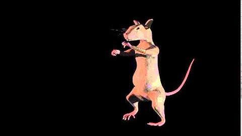 Rat Animation Test