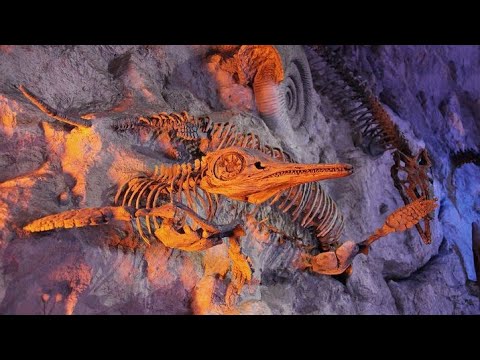 Vídeo: Arqueología Muy Aterradora - Vista Alternativa