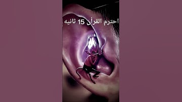 احترام القرآن الكريم دقيقه