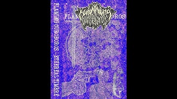 Flaming Ouroboros (US) - Ethereal Timbre (Demo) 2022