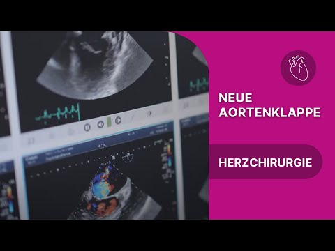 Video: Herzklappenverengung (Aortenklappe) Bei Katzen