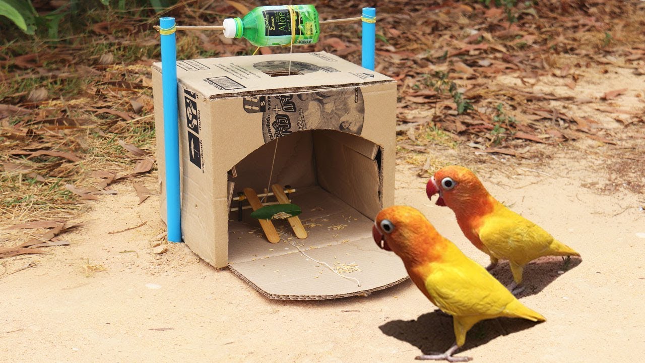 Awesome! 3 Easy bird trap 