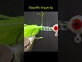 Tying Off a Crappie Jig #crappie #crappiefishing #fishing #bassfishing #angler #trout