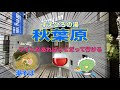 【dormy inn 秋葉原】ワインがあればどこだって行ける【ビジホ飲み】