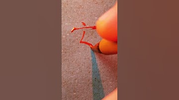 Chinese QUIET - 安静 (ān jìng) 安 safe 静 quiet 😍| #chinese #mandarin #handwriting