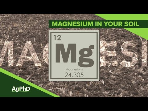 Magnesium In Soil (From Ag PhD Show #1120 - Air Date 9-22-19)