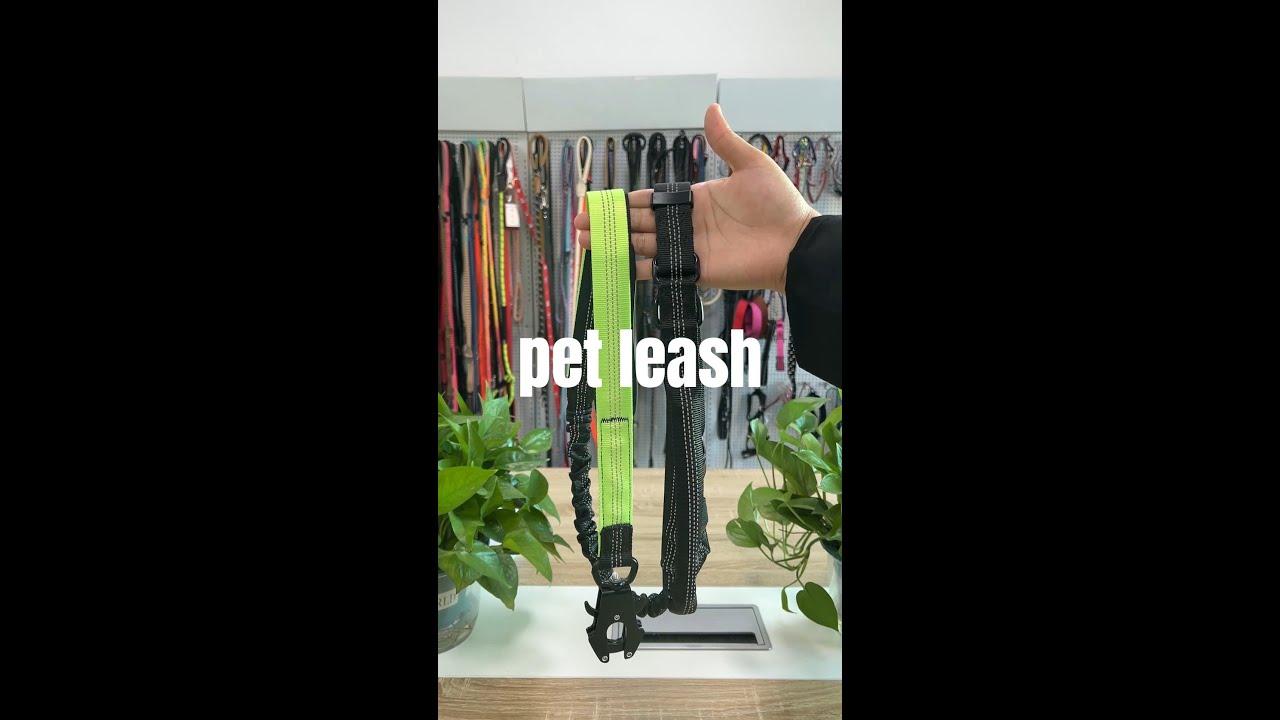 High-quality dog leash and collar supplier with wholesale pricing