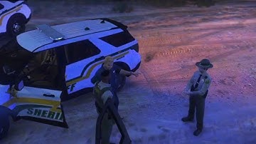 GTA 5 LSPDFR Intense Patro l Traffic Stop, Robbery, and a Plane Crash?! 🚨