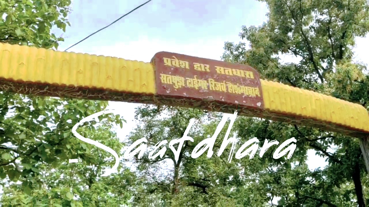 Satdhara  of Satpura Forests