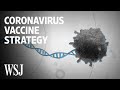 How Scientists Are Trying to Develop a Coronavirus Vaccine | WSJ