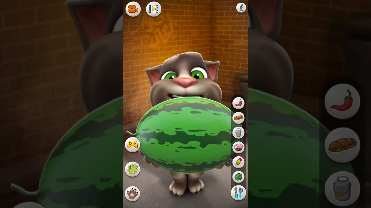 Playing Talking Tom! 