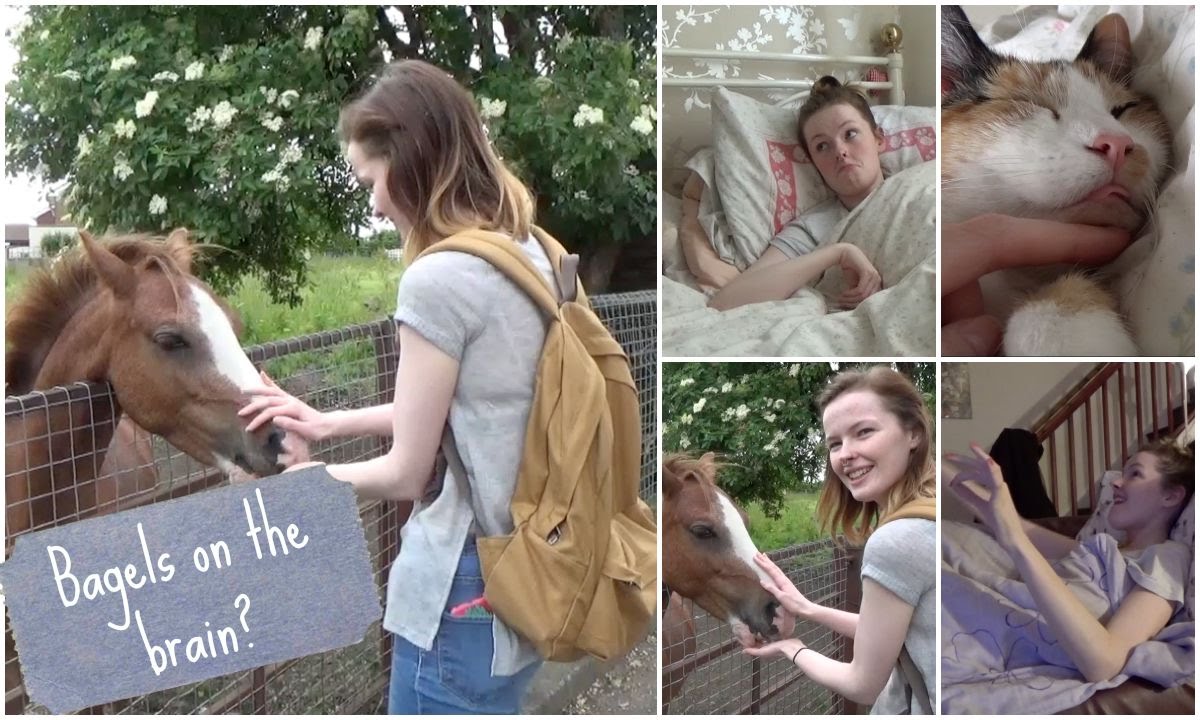 KLS footage and Bagels on the brain??