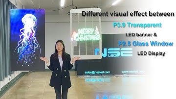 NSE P3.91Transparent LED Banner VS P2.5 Shop Window LED Display