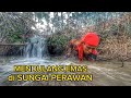 Wowkaya alam sumatra sungai penuh dengan emas survival dipinggir sungaigold mining tradisional