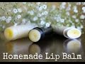 2 Ingredient Homemade Lip Balm / Easy Chapstick Recipe by The Squishy Monster