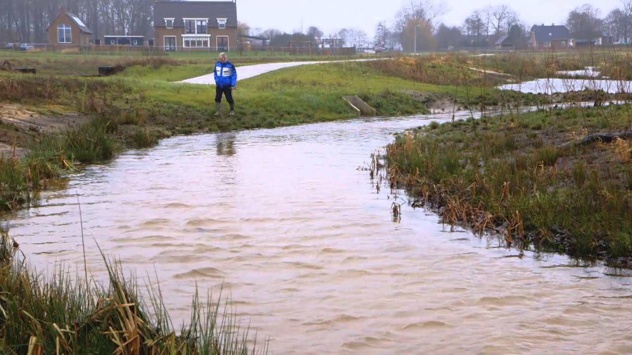 Feuilleton Beekherstel