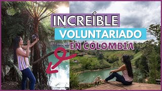 VOLUNTARIADO EN COLOMBIA CREANDO CONTENIDO ı Mi experiencia