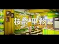 【MV】A応P / 桜奈里彩 「あのね、キミだけに」Short Ver.
