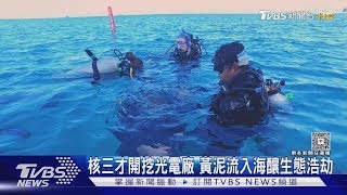 核三才開挖光電廠!潛水教練驚見海底混濁 明星生物快死光|TVBS新聞