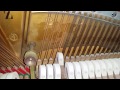 Assessment of Steinway model Z 115cm upright piano 1969 vs Welmar and Knight