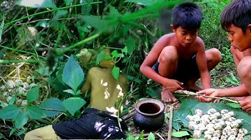 Primitive Technology - Find and Boil wild Quail Eggs in Forest - Eating Delicious