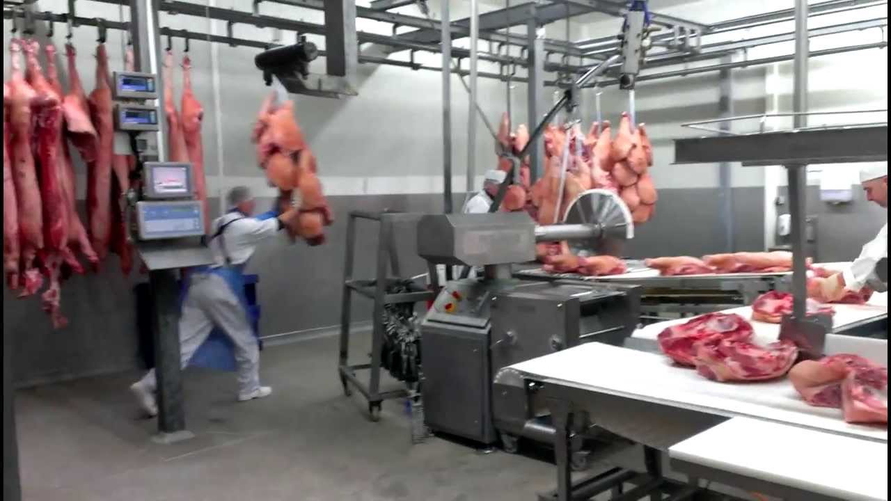 Meat video. Мясной цех. Оборудование для колбасного цеха. Мясоперерабатывающее оборудование.