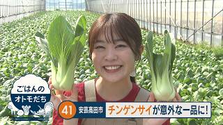 【ごはんのオトモだち】㊶チンゲンロール（安芸高田市）｜ピタニュー