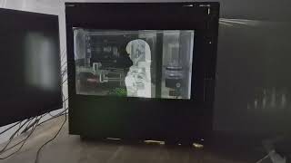 Famous Bad Apple but it's literally on a PC Profile