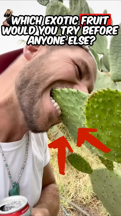 Out of These Rare Fruits, Which One Would You Bite Into First? 🥭