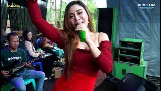 LALI JANJINE EVIS RENATA - D'VHANZA MUSIC BALONG WEDDING RIZQI & NIA