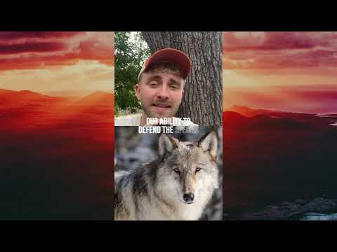We just sued to save the Endangered Species Act