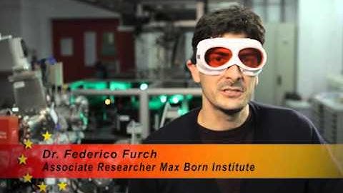 Femtosecond Light Amplifiers in the Megahertz regime (FLAME)