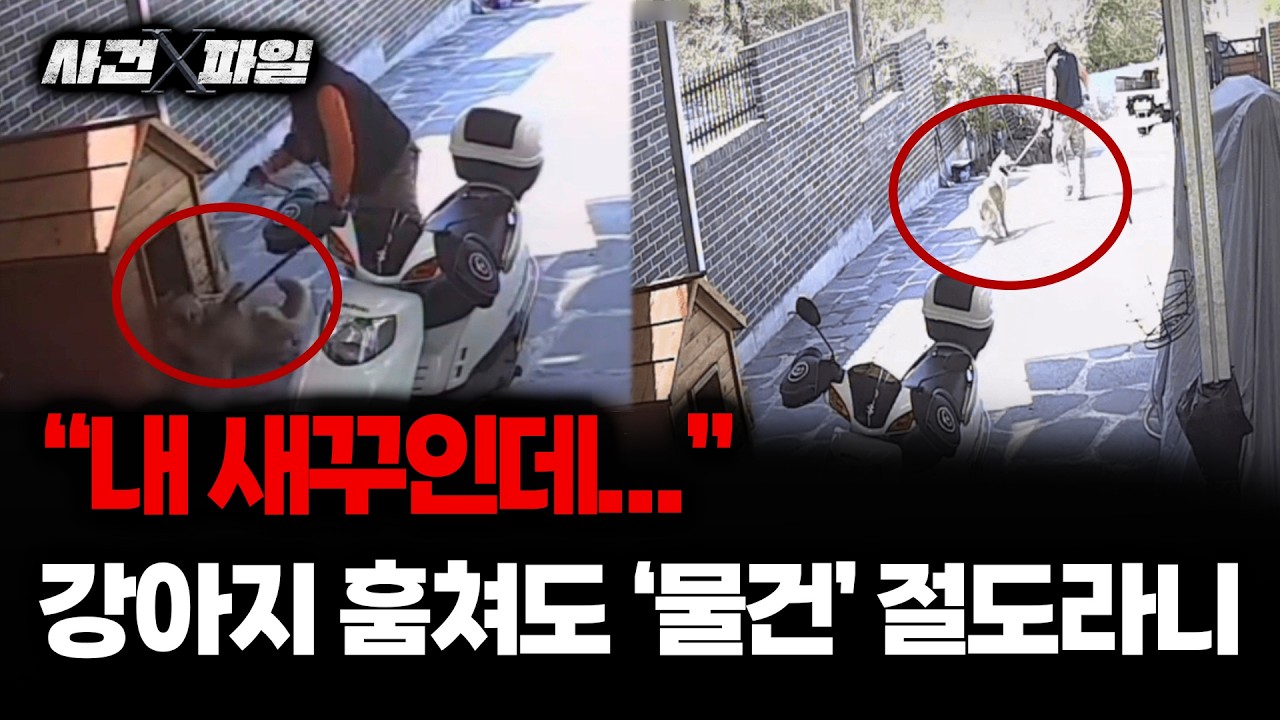 보이는 라디오 이미지