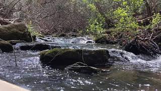 Soothing, quiet, Creek break, from a kayak. while paddling a lake in North Georgia. (Early Spring)