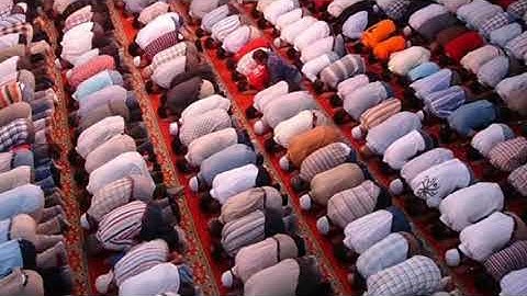 تلاوة جميله بصوت عذب للقارئ وديع اليمني