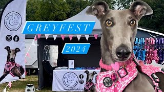 Greyfest greyhound show. Introducing ‘Beautiful Hound’ dog harnesses modelled by Fairy