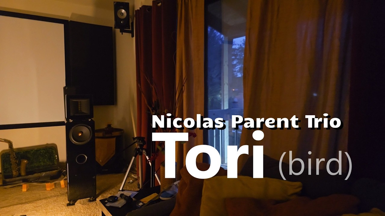 Ascendo System Zf3 loudspeakers: The Nicolas Parent Trio, "Tori (bird)" (2015)