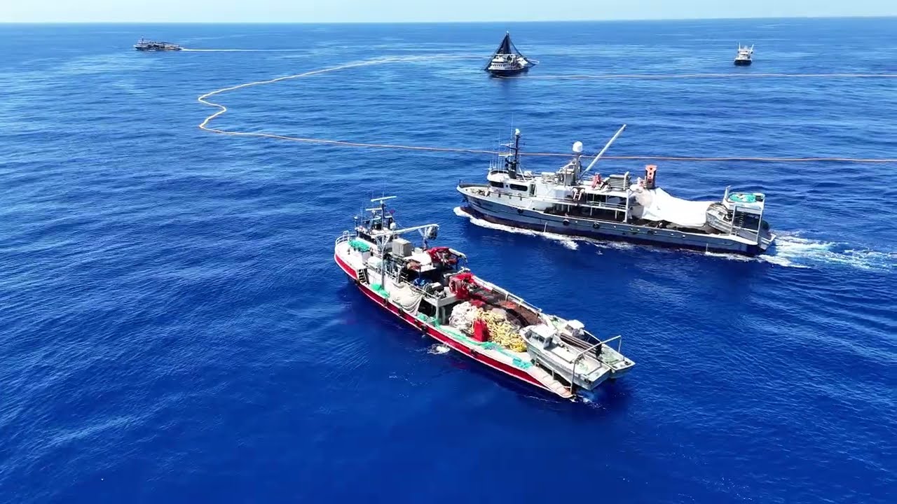 Akdeniz'de Orkinos Avı | Gırgır Tekneleri