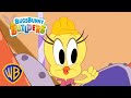 Bugs Bunny Builders en Español 🇪🇸 | ¡Piolín al rescate! 💪🐤 |  @WBKidsEspaña​