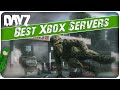 The best xbox servers in 2024  dayz