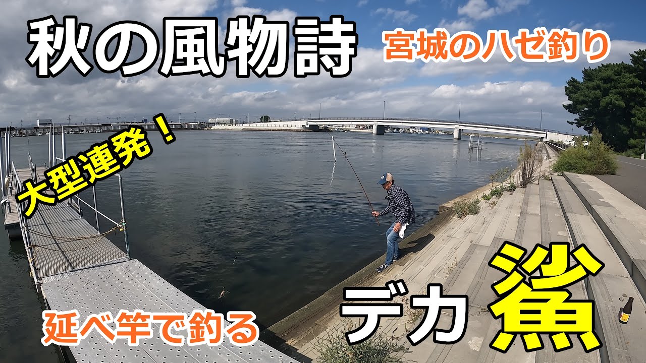 延べ竿で釣る大型ハゼ！ / ハゼ釣り場調査・21cm / 貞山運河探索 / 延べ竿でハゼ / 宮城のハゼ釣り / 小物釣り