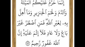 سورة آل عمران - من الآية 173 إلى الآية 174 - بصوت القارئ خليفة الطنيجي - رواية حفص عن عاصم