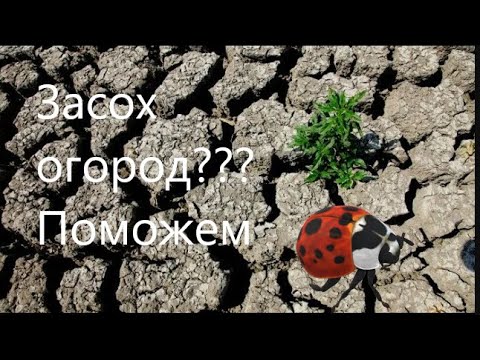 КАК ЗАЩИТИТЬ СВОЙ УРОЖАЙ ОТ ПАЛЯЩЕГО СОЛНЦА и АНОМАЛЬНОЙ ЖАРЫ.