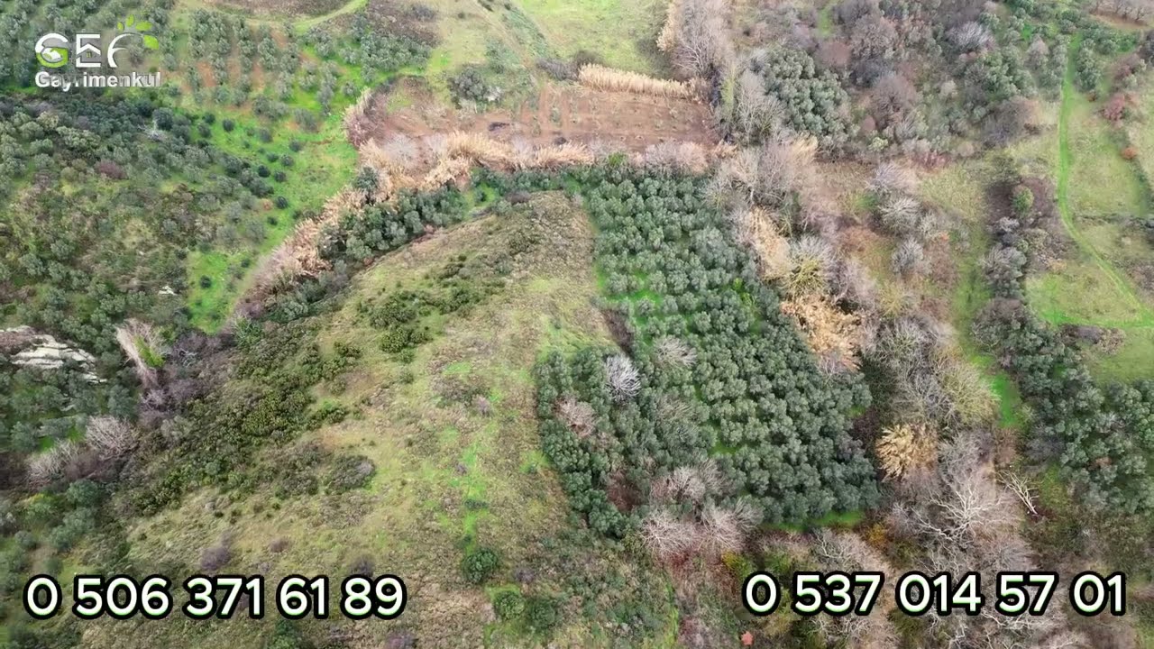 🌊 DENİZ MANZARALI TARLA | ERDEK KESTANELİK | 12.310 m² | PLAJLARA 750 m #erdek #satılık