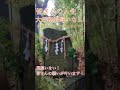 龍神のお姿が見えた!あなたの人生大好転 願いが叶う龍神参拝。#Shorts